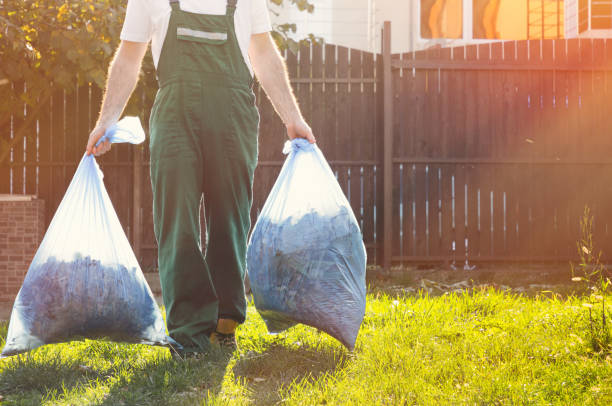 Best Shed Removal  in Munising, MI